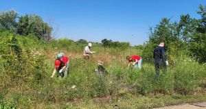 Parcul Natural Văcăreşti continuă programul de voluntariat cu o nouă acţiune de ecologizare